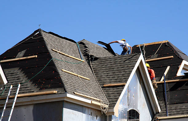 Best Roof Gutter Cleaning  in Tysons, VA