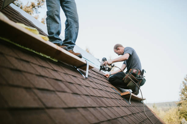 Best Roof Maintenance Services  in Tysons, VA